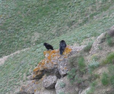 Прикрепленное изображение: 507.jpg